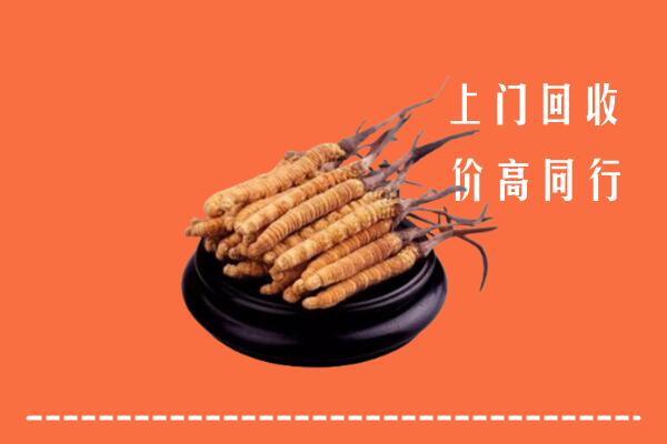 高价求购：渭南市合阳回收散虫草