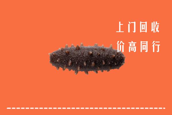 高价求购：渭南市合阳回收海参