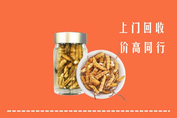 渭南市合阳回收冬虫夏草